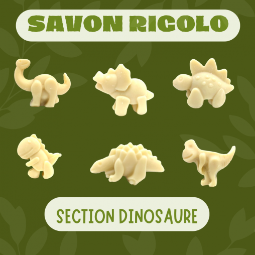 Savon rigolo - section...